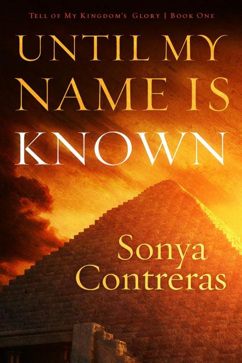 Cover of the book Until My Name Is Known by Sonya Contreras, Bull Head Press