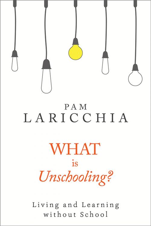 Cover of the book What is Unschooling? by Pam Laricchia, Living Joyfully Enterprises