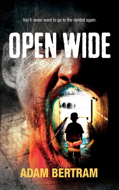 Cover of the book Open Wide by Adam Bertram, Plunge Publishing