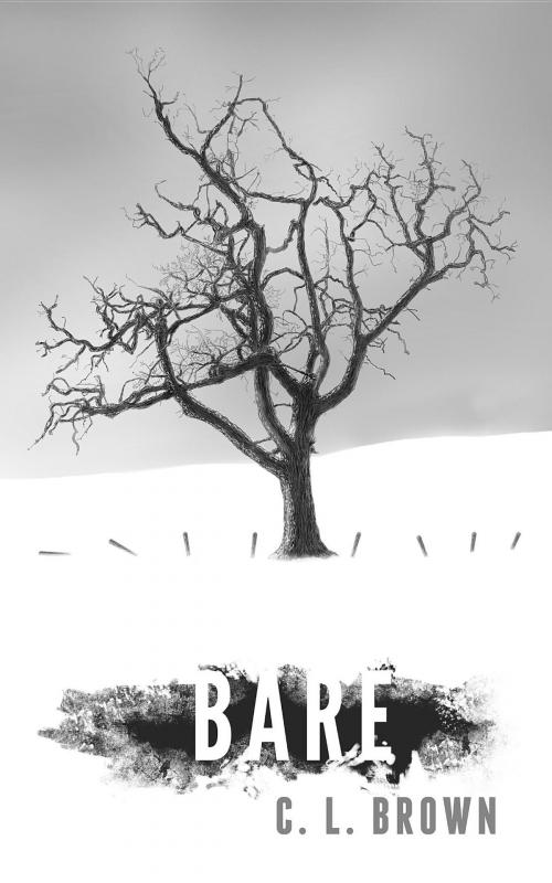 Cover of the book BARE by C.L. Brown, Jason Cowell, Ibhubesi Books LLC.