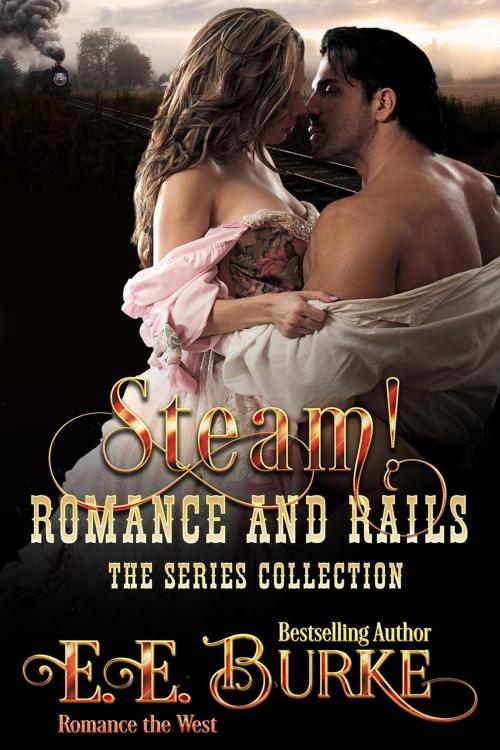 Cover of the book Steam! Romance and Rails by E.E. Burke, E.E. Burke