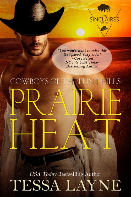 Cover of the book Prairie Heat by Tessa Layne, Shady Layne Media