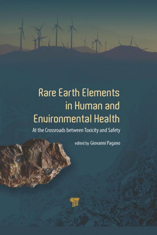 Cover of the book Rare Earth Elements in Human and Environmental Health by Giovanni Pagano, Jenny Stanford Publishing
