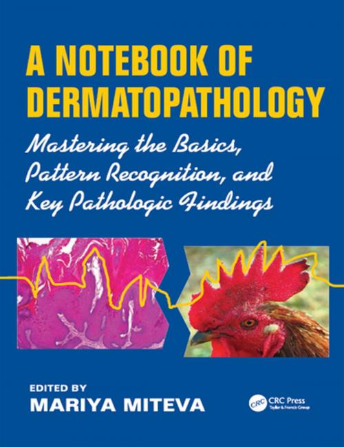 Cover of the book A Notebook of Dermatopathology by , CRC Press