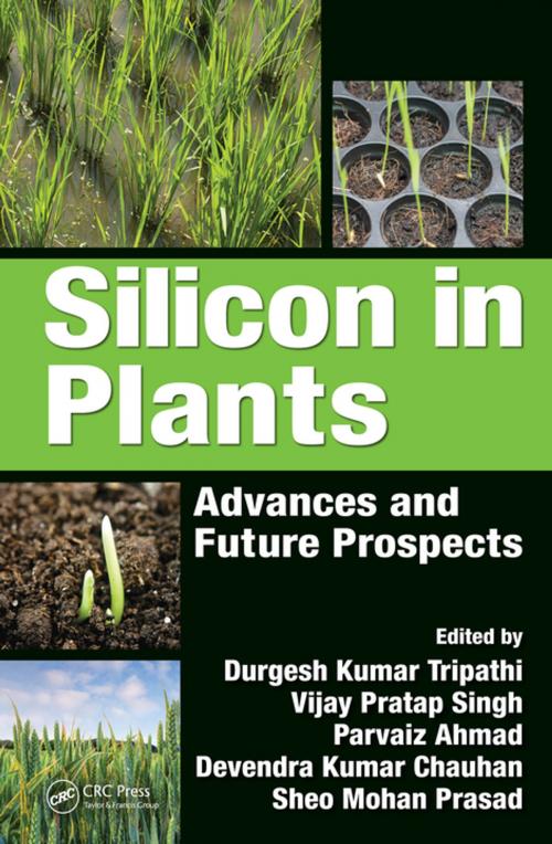 Cover of the book Silicon in Plants by , CRC Press