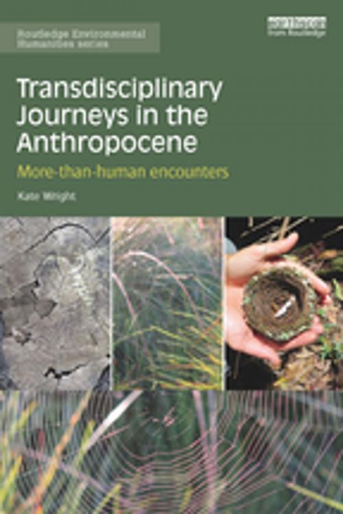 Cover of the book Transdisciplinary Journeys in the Anthropocene by Kate Wright, Taylor and Francis