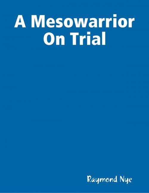 Cover of the book A Mesowarrior On Trial by Raymond Nye, Lulu.com
