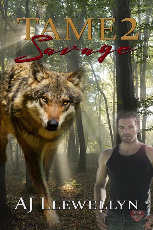 Cover of the book Savage: Tame 2 by A.J. Llewellyn, MLR Press