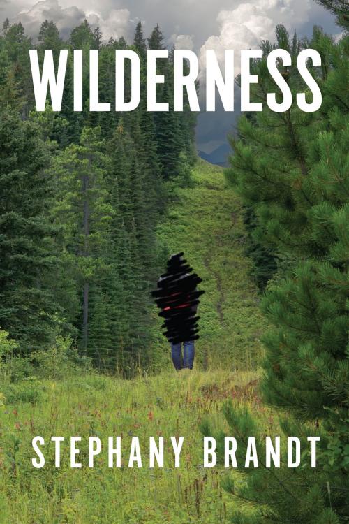 Cover of the book Wilderness by Stephany Brandt, Stephany Brandt