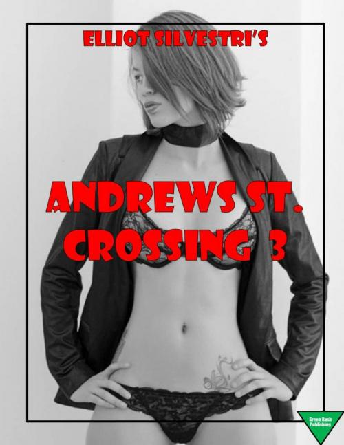Cover of the book Andrews St. Crossing 3 by Elliot Silvestri, Elliot Silvestri
