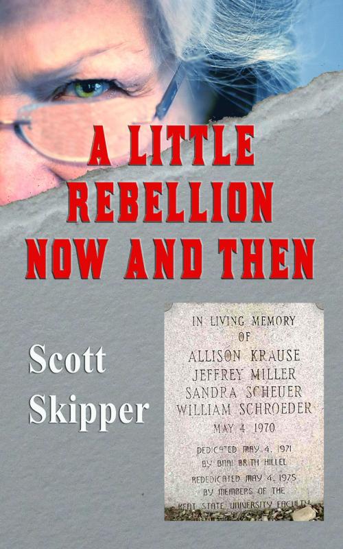 Cover of the book A Little Rebellion Now and Then by Scott Skipper, Scott Skipper