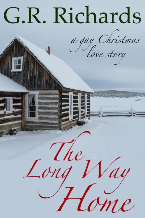 Cover of the book The Long Way Home: A Gay Christmas Love Story by G.R. Richards, Great Gay Fiction