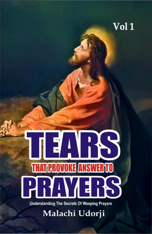 Cover of the book Tears That Provoke Answer to Prayers by Malachi Udorji, Tochukwu Nkwocha