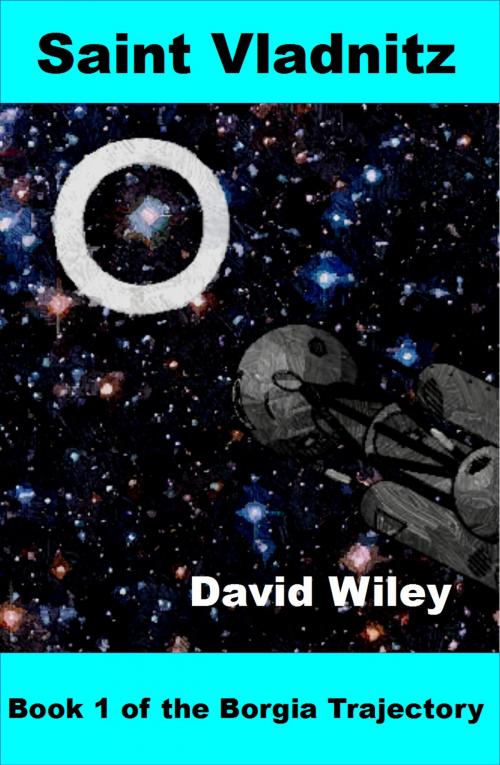 Cover of the book Saint Vladnitz by David Wiley, David Wiley