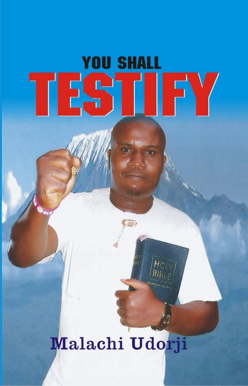 Cover of the book You Shall Testify by Malachi Udorji, Tochukwu Nkwocha