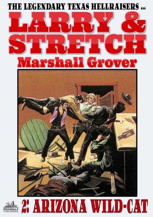 Cover of the book Larry and Stretch 2: Arizona Wild-Cat by Marshall Grover, Piccadilly Publishing