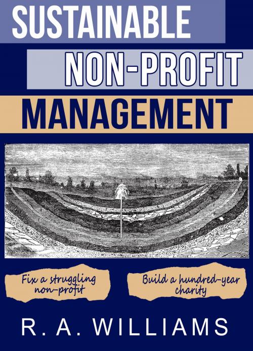 Cover of the book Sustainable Non-Profit Management by R A Williams, R A Williams