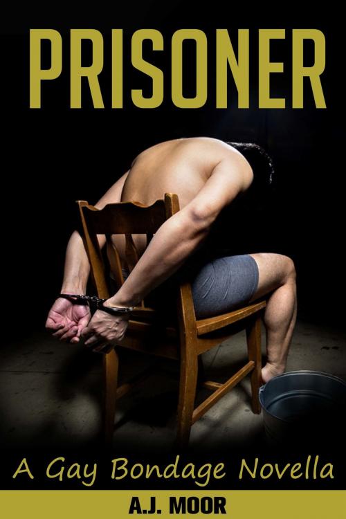 Cover of the book Prisoner: A Gay Bondage Novella by A.J. Moor, A.J. Moor
