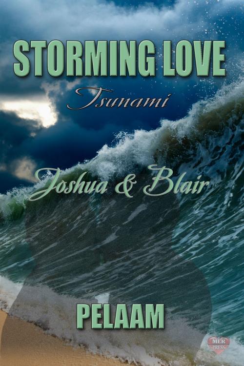 Cover of the book Joshua & Blair by Pelaam, MLR Press
