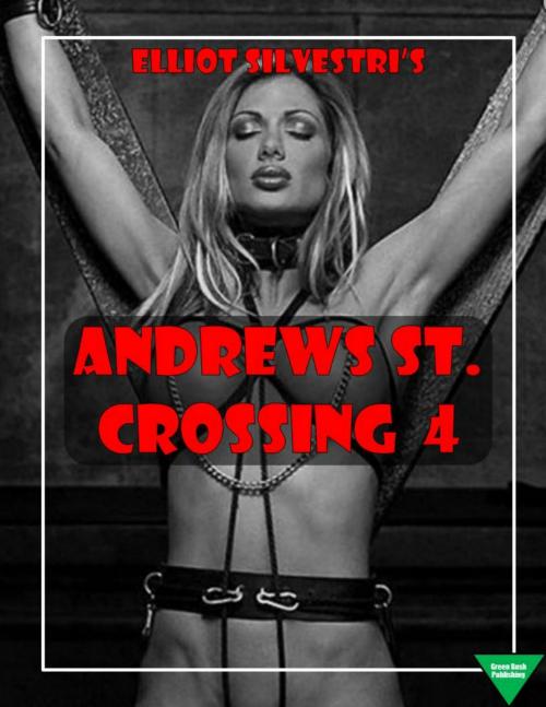 Cover of the book Andrews St. Crossing 4 by Elliot Silvestri, Elliot Silvestri