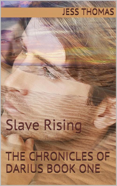 Cover of the book The Chronicles of Darius Book One: Slave Rising by Jess Thomas, Jess Thomas