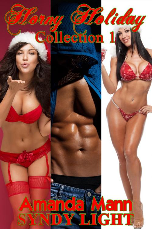 Cover of the book Horny Holiday Collection 1 by Amanda Mann, Syndy Light, Deadlier Than the Male Publications