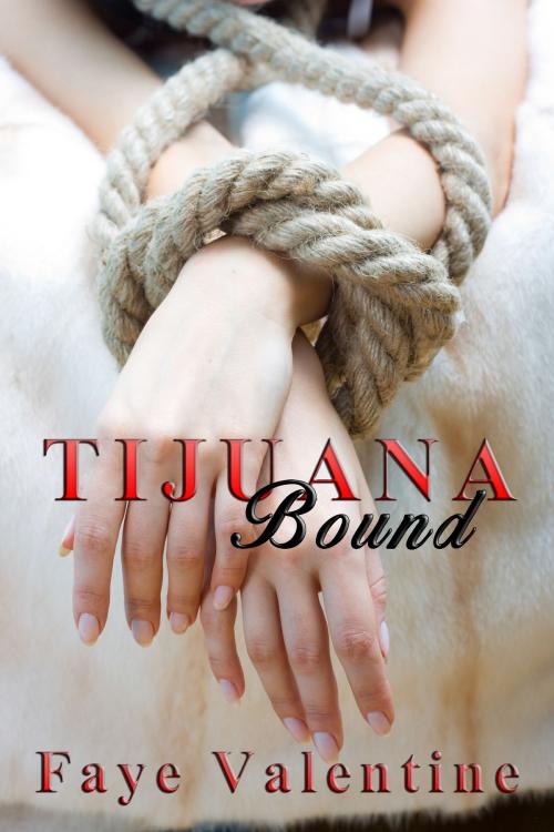 Cover of the book Tijuana Bound by Faye Valentine, Faye Valentine