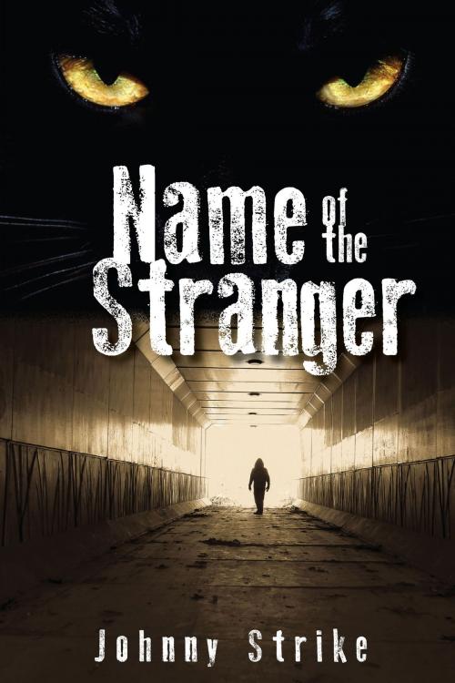 Cover of the book Name of the Stranger by Johnny Strike, Bold Venture Press