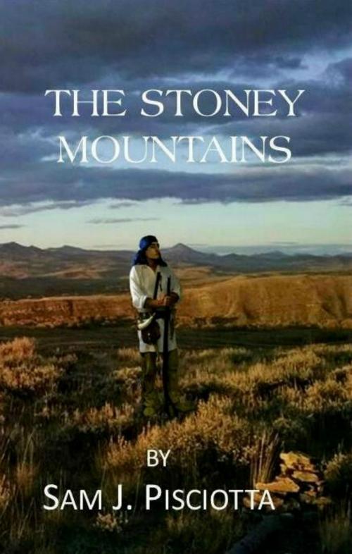 Cover of the book The Stoney Mountains by Sam J. Pisciotta, Sam J. Pisciotta