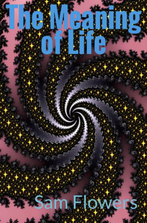 Cover of the book The Meaning of Life by Sam Flowers, Sam Flowers
