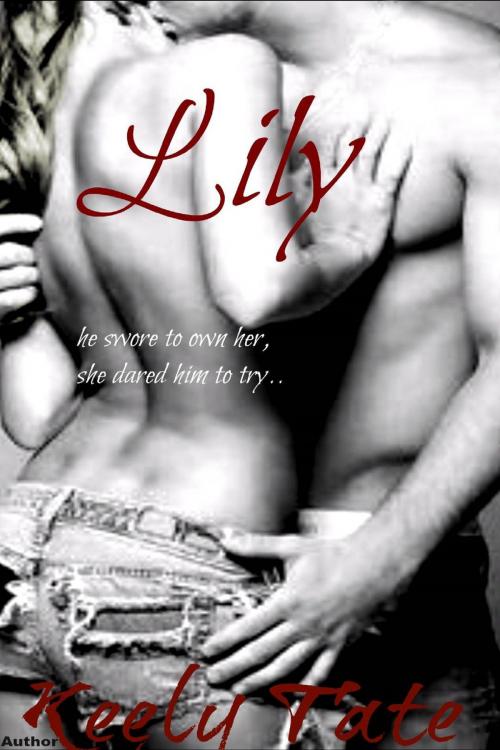 Cover of the book Lily: The Brothers(Book 2) by Keely Tate, Keely Tate