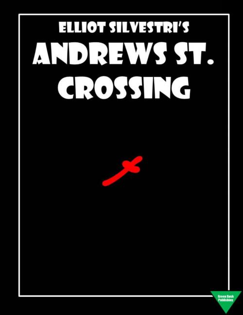 Cover of the book Andrew's St. Crossing by Elliot Silvestri, Elliot Silvestri
