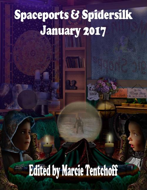 Cover of the book Spaceports & Spidersilk January 2017 by Marcie Tentchoff, Nomadic Delirium Press