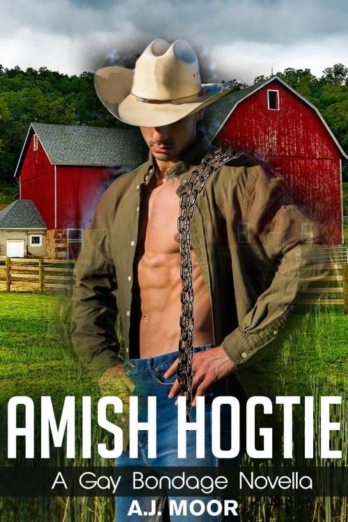 Cover of the book Amish Hogtie: A Gay Bondage Novella by A.J. Moor, A.J. Moor