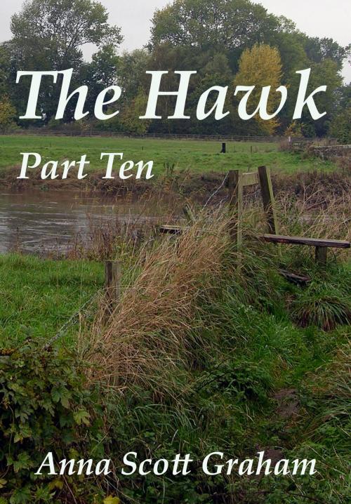 Cover of the book The Hawk: Part Ten by Anna Scott Graham, Anna Scott Graham