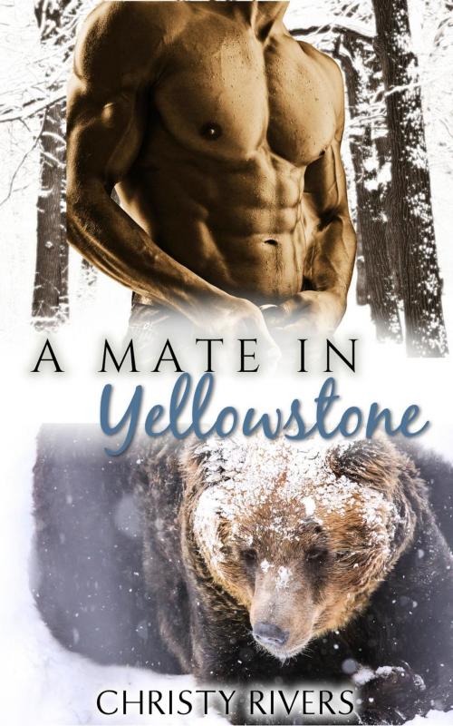 Cover of the book A Mate in Yellowstone by Christy Rivers, Tiny Teacup Press