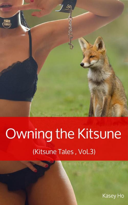 Cover of the book Owning the Kitsune by Kasey Ho, Kasey Ho