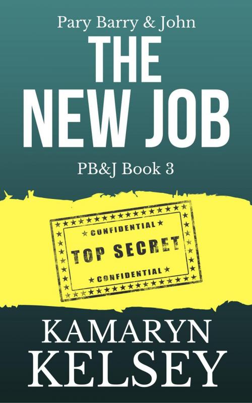 Cover of the book Pary Barry & John- The New Job by Kamaryn Kelsey, Kamaryn Kelsey