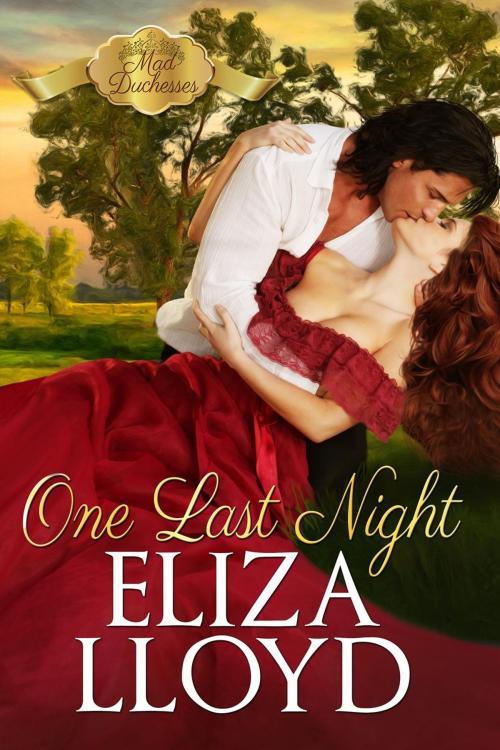 Cover of the book One Last Night by Eliza Lloyd, Eliza Lloyd