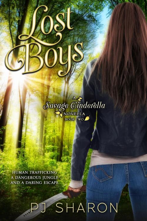 Cover of the book Lost Boys by PJ Sharon, PJ Sharon