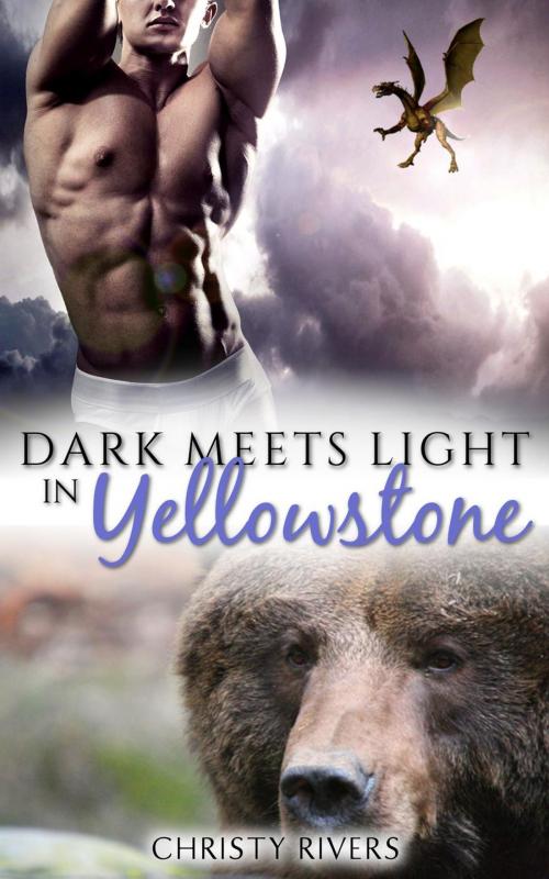 Cover of the book Dark Meets Light in Yellowstone by Christy Rivers, Tiny Teacup Press
