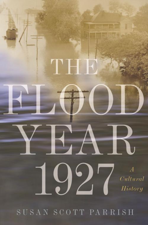 Cover of the book The Flood Year 1927 by Susan Scott Parrish, Princeton University Press