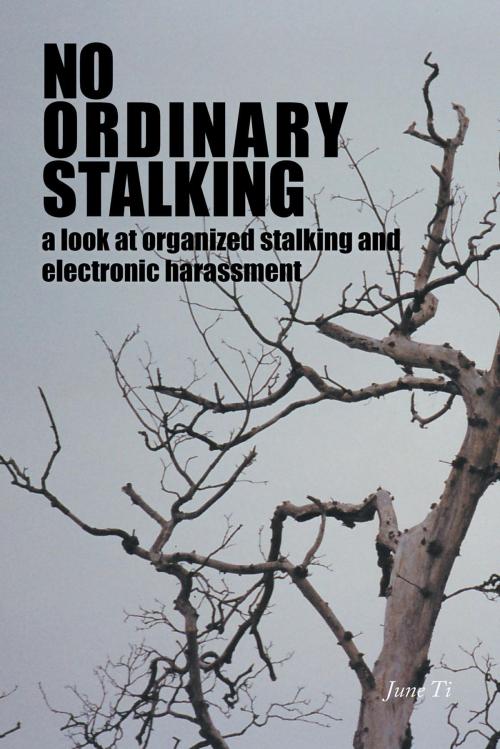 Cover of the book No Ordinary Stalking by June Ti, FriesenPress