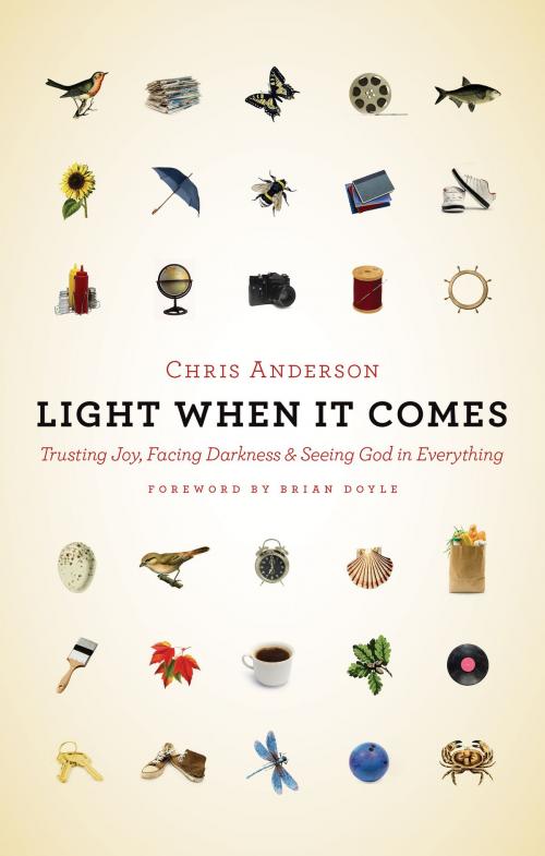 Cover of the book Light When It Comes by Chris Anderson, Wm. B. Eerdmans Publishing Co.
