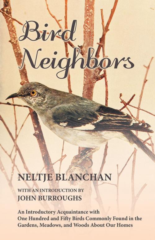 Cover of the book Bird Neighbors - An Introductory Acquaintance with One Hundred and Fifty Birds Commonly Found in the Gardens, Meadows, and Woods About Our Homes by Neltje Blanchan, John Burroughs, Read Books Ltd.