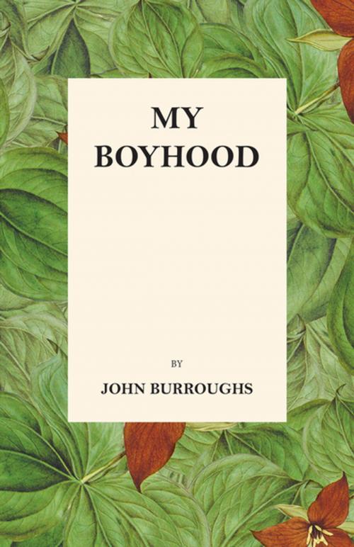 Cover of the book My Boyhood by John Burroughs, Julian Burroughs, Read Books Ltd.