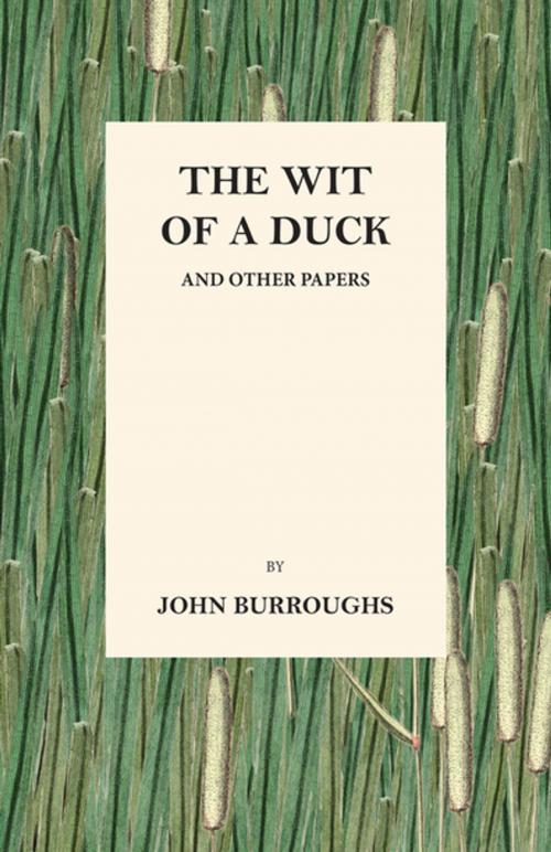 Cover of the book The Wit of a Duck and Other Papers by John Burroughs, Read Books Ltd.