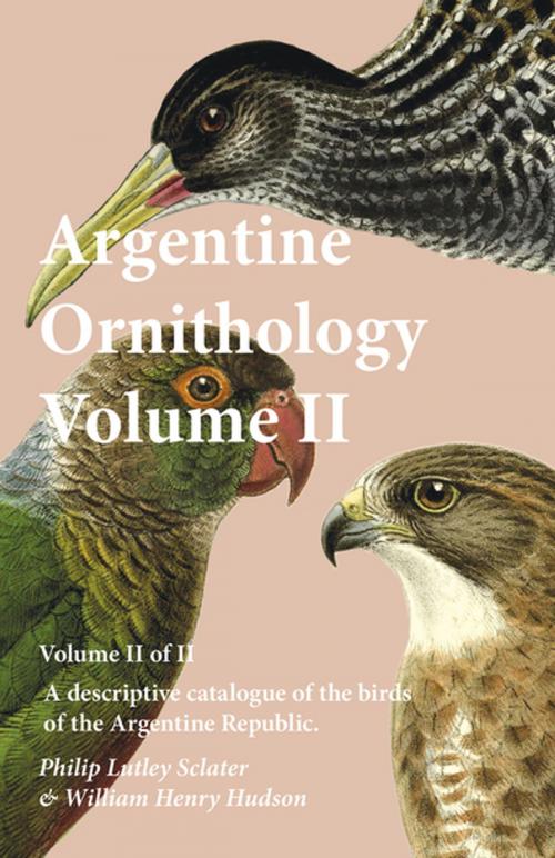 Cover of the book Argentine Ornithology, Volume II (of II) - A descriptive catalogue of the birds of the Argentine Republic. by Philip Lutley Sclater, William Henry Hudson, Read Books Ltd.