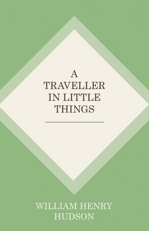Cover of the book A Traveller in Little Things by William Henry Hudson, Read Books Ltd.