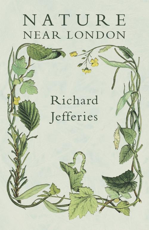 Cover of the book Nature Near London by Richard Jefferies, Read Books Ltd.